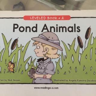 Pond Animals