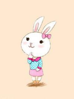 《兔宝宝🐰睡午觉》