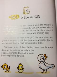 7-4 A Special Gift