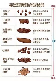 第124期:大便是孩子健康的晴雨表