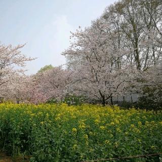 《守候在有你的季节》