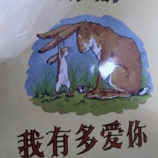 绘本故事《猜猜我有多爱你》