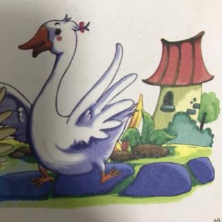 【故事66】金童年幼儿园涵涵老师的晚安故事《天鹅与厨师》