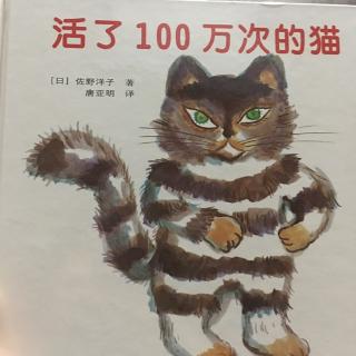 活了一百万次的猫