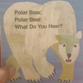 北极熊，北极熊，你听到了什么