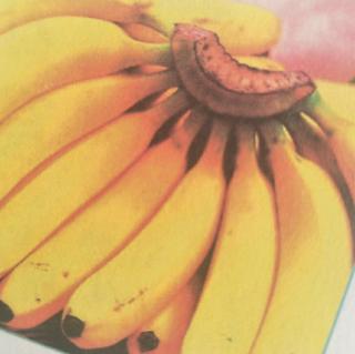 2.为什么香蕉是弯的