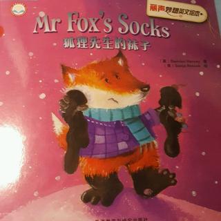 Mr  Fox's   Socks