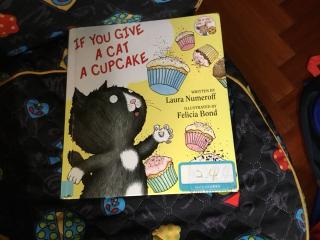 If you give a cat a cupcake/Luca