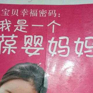 我是一个葆婴妈妈（序言）