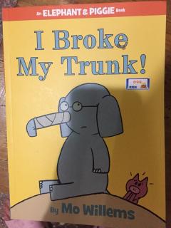 I broke my trunk