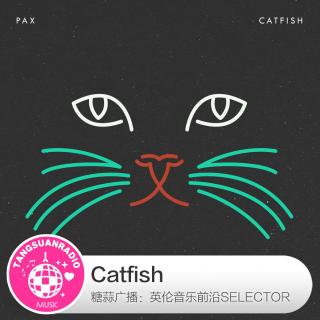 糖蒜爱音乐之The Selector：Catfish