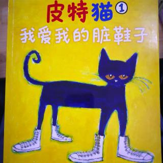 皮特猫🐱——我爱我的脏鞋子