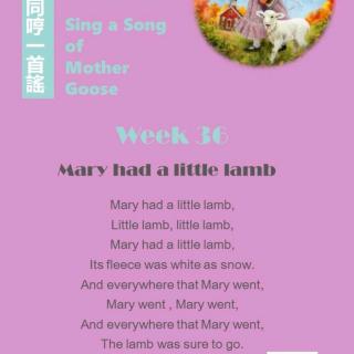 Week36 Marry had a little lamb