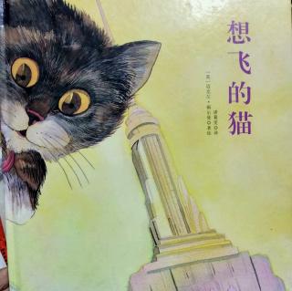 陈毅轩讲绘本故事《想飞的猫》