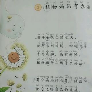 植物妈妈有办法