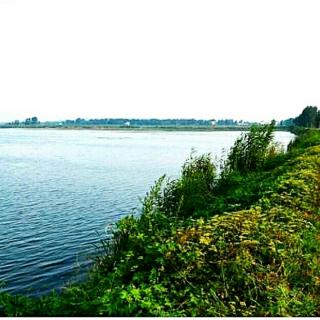 《清末明光十六景》第二景《池水波声》