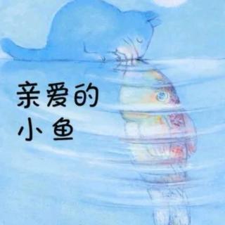 《亲爱的小鱼🐟》