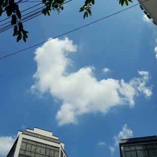 你，天空，我