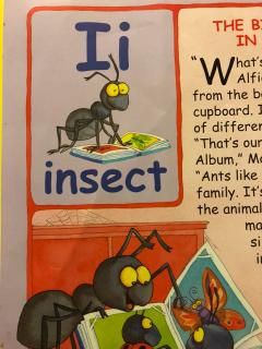 I is for Insect