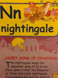 N is for nightingale