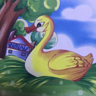 【故事70】金童年幼儿园涵涵老师的晚安故事《丑小鸭》