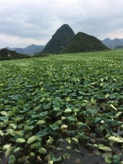 鄱阳湖大战🔥