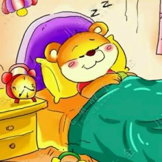 熊宝宝爱睡觉💤