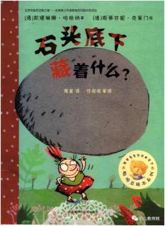 【故事631】虎渡名门幼儿园晚安绘本故事巜石头底下藏着什么》