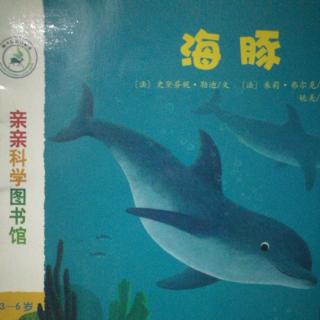 亲亲科学图书馆《海豚🐬》