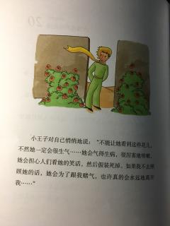 chapter20 玫瑰盛开的花园