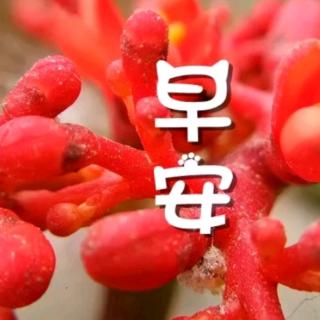 《西魏幼儿园周四早安》☀☀☀