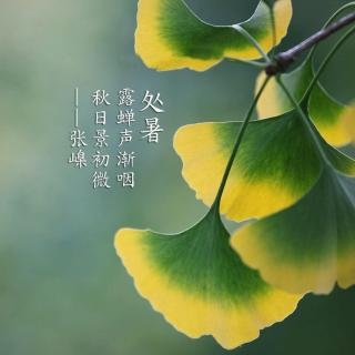 七律《秋夕登高》.《郊野赏秋》.文/梁园客.诵/葆青.