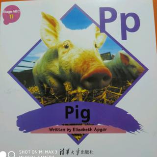 《Stage ABC》book011 Pig Pp