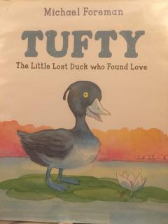 Tufty - The little lost duck who found love