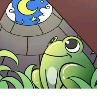 【井底之蛙】在线收听_遥樱_荔枝