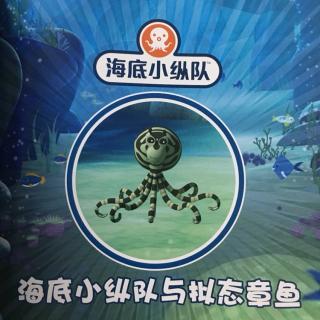 海底小纵队30-3拟态章鱼