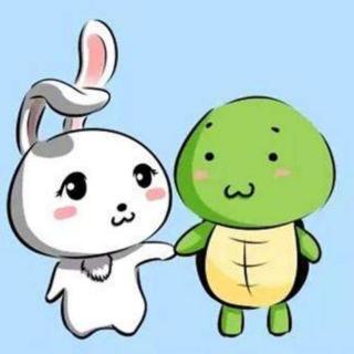 龟和兔