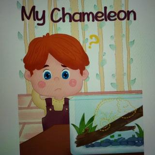 34.my chameleon
