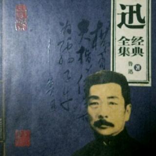 鲁迅文集(六)