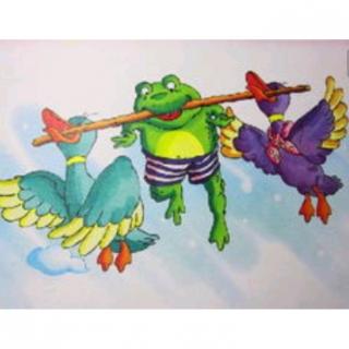 会飞的青蛙🐸——青蛙旅行家