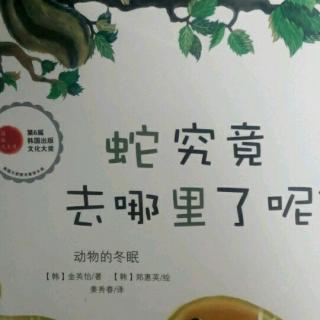 蛇究竟去哪里了呢