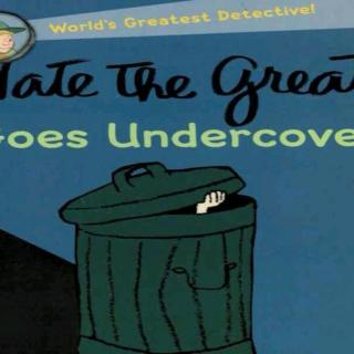 Nate the Great Goes Under Cover1