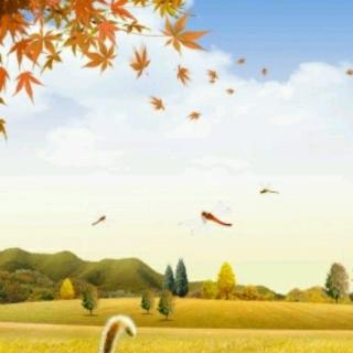 散文《秋天的原野》～煜钰（二年级）