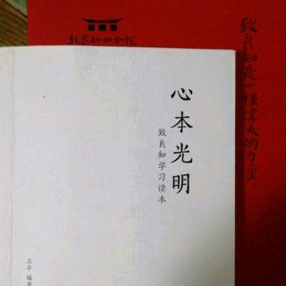 《心本光明》中篇之6精一之功