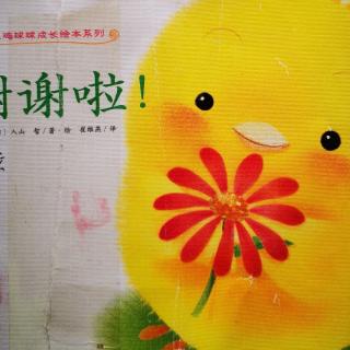 小鸡球球之谢谢啦