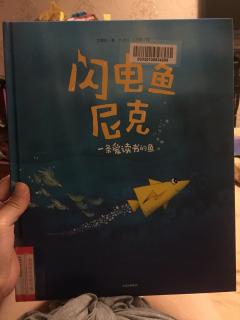 闪电鱼尼克