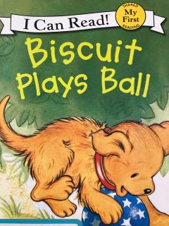 Biscuit plays ball