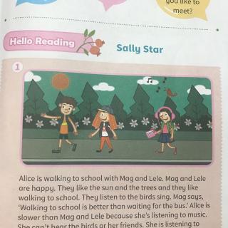 Lesson13-sally star