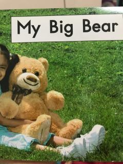 My big Bear