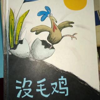 陈毅轩讲绘本故事《没毛鸡》